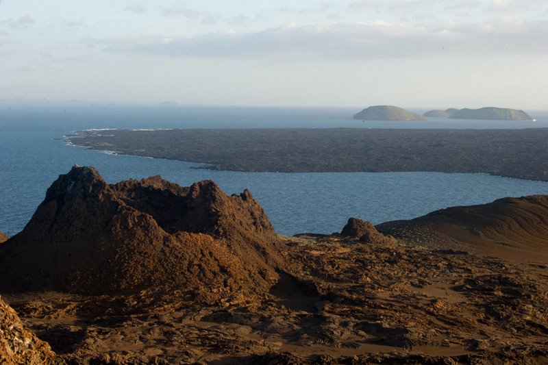 A Pillar of Life in the Galapagos Islands