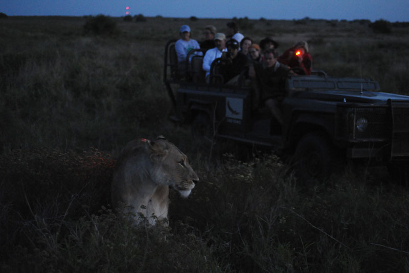 Phinda, South Africa