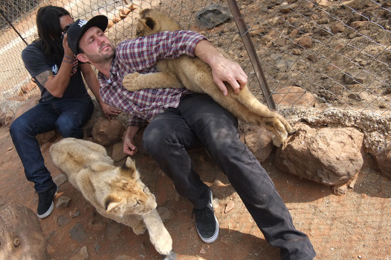 Holding Baby Lions in South Africa
