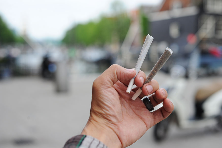 Weed in Amsterdam: Meronek.com