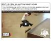 SPoT Life: Mike Mo and Tony Hawk's House