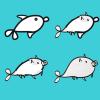 Proof of Evolution: Happy Birthday, Porpe